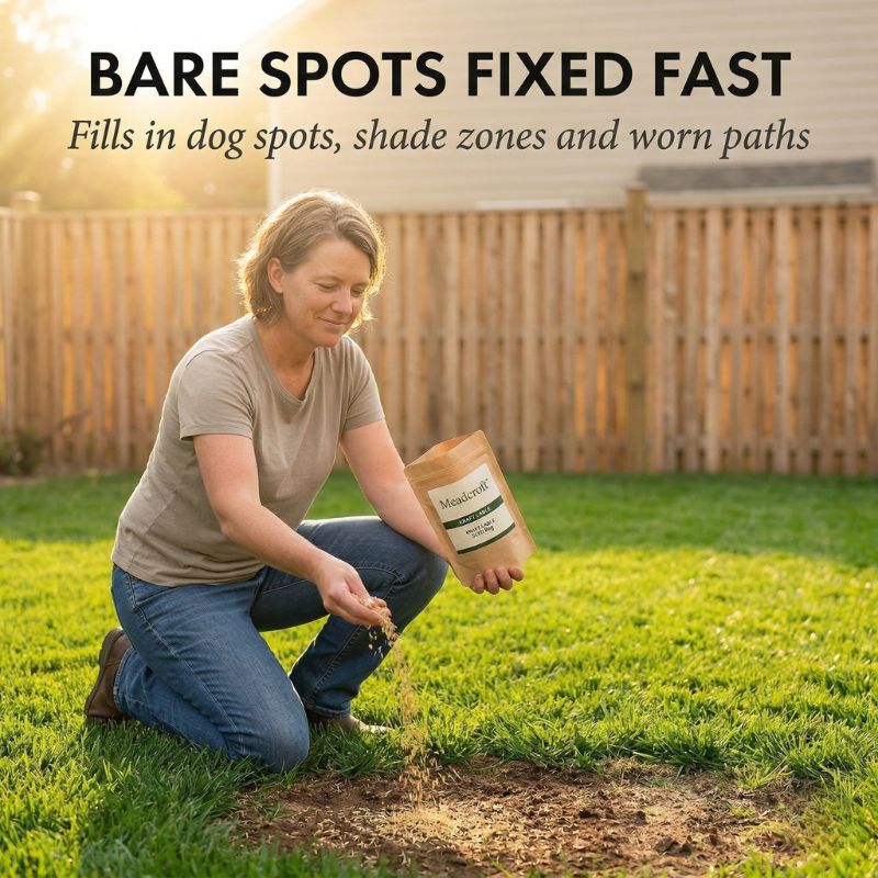 Tillage™ – Four-Season Evergreen, No-Mow, Pet-Friendly Lawn Grass Seeds + 50% OFF