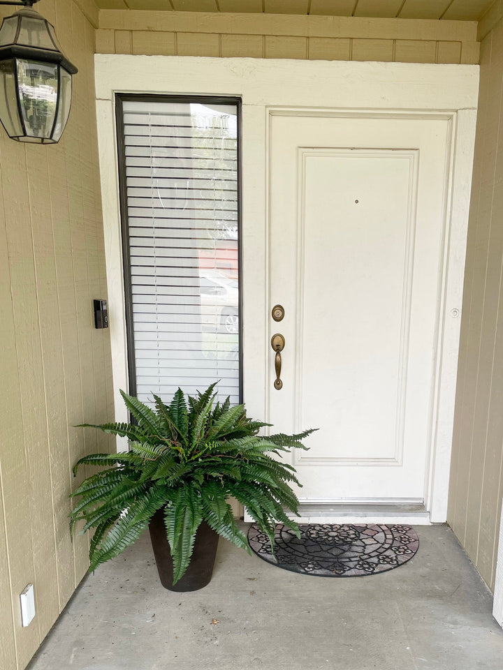 Forever Fresh Fern – Lush Greenery That Lasts Forever - 60% OFF