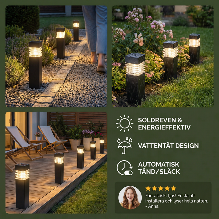 The AuraGlow Solar Ground Lights — Effortless Garden Ambiance + 50% OFF